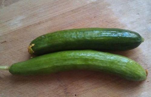 小青吃的瓜,小青的甜蜜瓜之旅