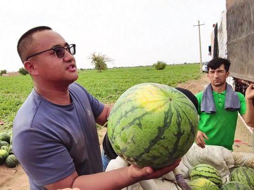 鹿雪吃瓜,揭秘娱乐圈背后的那些事儿