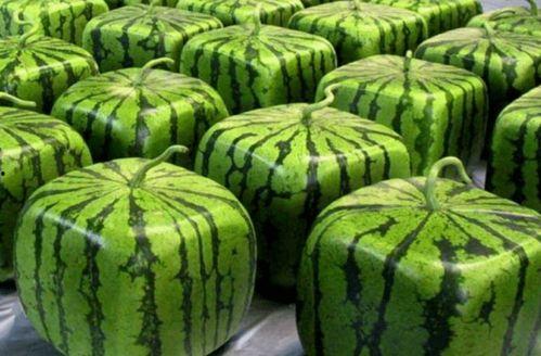 重全吃瓜,揭秘娱乐圈幕后真相