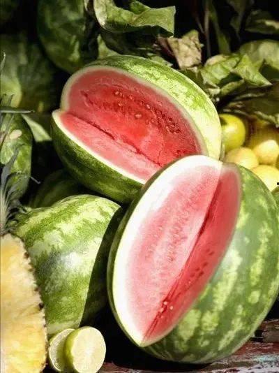 偃师全城吃瓜,共度欢乐时光